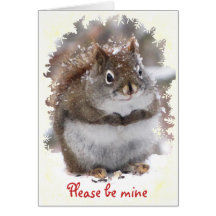 Sweet Squirrel Valentine Greeting Card