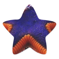 SWEET STAR STICKER