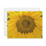 Sweet Sun invitations