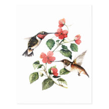 Sweet Vintage Floral Hummingbirds Pair Postcards