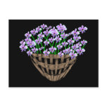 Sweet Violets