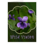 Sweet Wild Violet Card