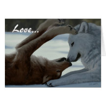 Sweet wolf couple cards