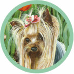 Sweet Yorkshire Terrier Sculpture Ornament photo sculptures