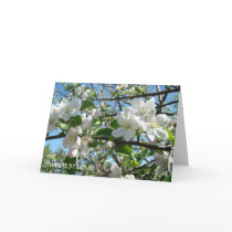 Sweetest Love Found when with You! Valentine Card