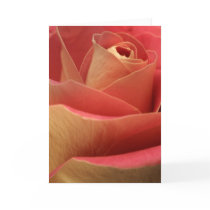 Sweetheart Rose Greeting Cards