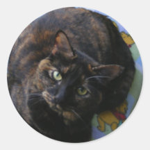 sweetie tortie stickers