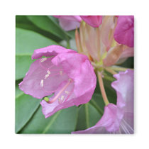 Sweetly Pink Flower Refrigerator Magnet