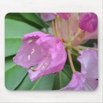 Sweetly Pink Flower Mousepads