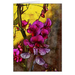 Sweetpea cards