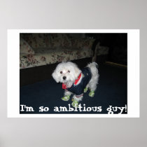 Sweety puppy posters
