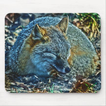 Swift Fox in Forest Wildlife Photo Art Mousemat Mouse Pads