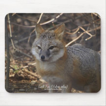Swift Fox in Forest Wildlife Photo Mousepad
