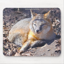 Swift Fox Rests in Forest Wildlife Mousepad
