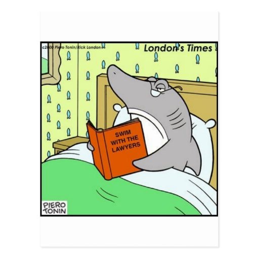 Swim W/The Lawyers Funny Tees Gifts & Collectibles Postcard