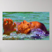 "Swimming" - Alta Definição - Luxo Pôsteres