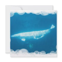 Swimming Beluga Whales Invitations