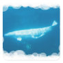 Swimming Beluga Whales Sticker