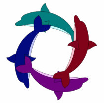 Swimming Dolphins