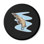 swimming duckbilled platypus refrigerator magnets