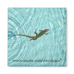 Swimming Lizard magnets