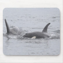 Swimming Orcas Mouse Pads