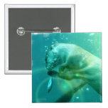 Swimming Otter Square Pin