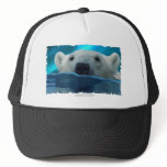 SWIMMING POLAR BEAR hats