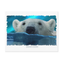 SWIMMING POLAR BEAR POST CARD