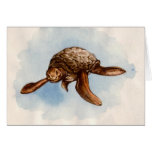 Swimming Sea Turtle Vintage Illustration cards