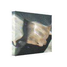 Swimming Stingray Canvas Print