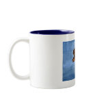 Swimming Turtle Mugs