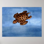Swimming Turtle Posters