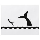 Swimming with the Whales flyers