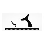 Swimming with the Whales rack cards