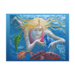 Swimming with tropical fish postcards