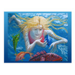 Swimming with tropical fish postcard