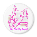 Swine Flu magnets
