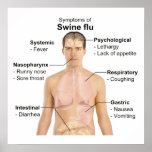 Swine Flu posters