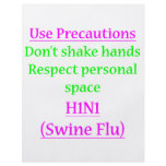 Swine Flu Precautions 2 flyers