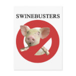 Swinebusters! postcards