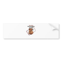 SWINEFLU BUMPER STICKERS
