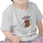 SWINEFLU t-shirts