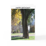 Swingin' Old Time Fun, HAPPY BIRTHDAY! Greeting Cards