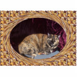 Swirled Autumn Leaves Frame