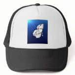 Swirly Betta on Blue