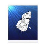 Swirly Betta on Blue