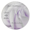Swirly Pale White and Violet Rose Wedding Stickers