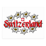 Switzerland Edelweiss Postcard