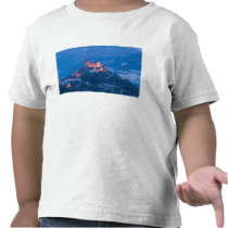 SWITZERLAND, Wallis/Valais, SION: Basilique de Tee Shirts
